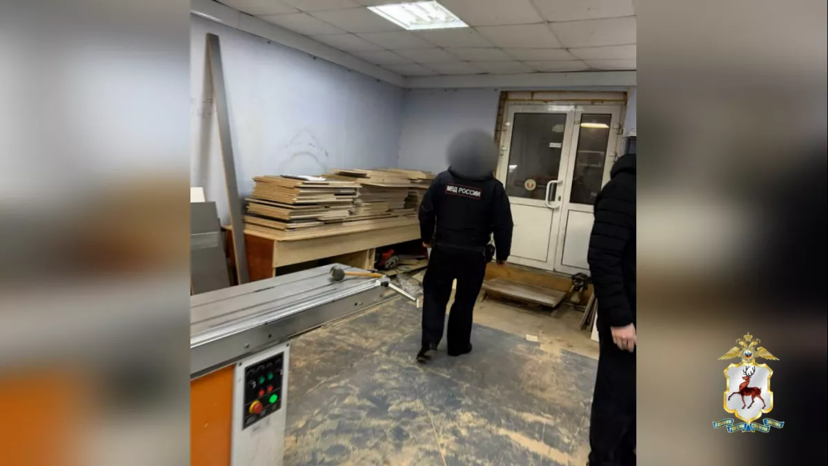 Нижегородская бизнесвумен кормила покупателей кухонь "завтраками" вместо обещанных гарнитуров