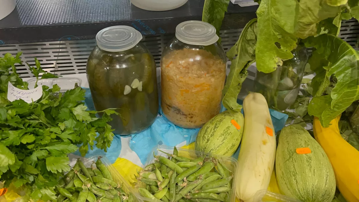 Делаем квашеную капусту по-настоящему вкусной: 3 простых правила - готовлю только так