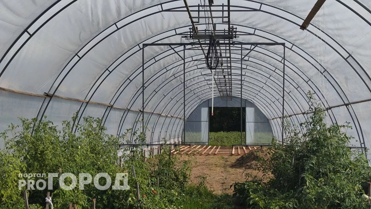 Один раз собрал – и грею теплицу до пяти суток без подзаправки: дешёвый обогрев из ведра и банки