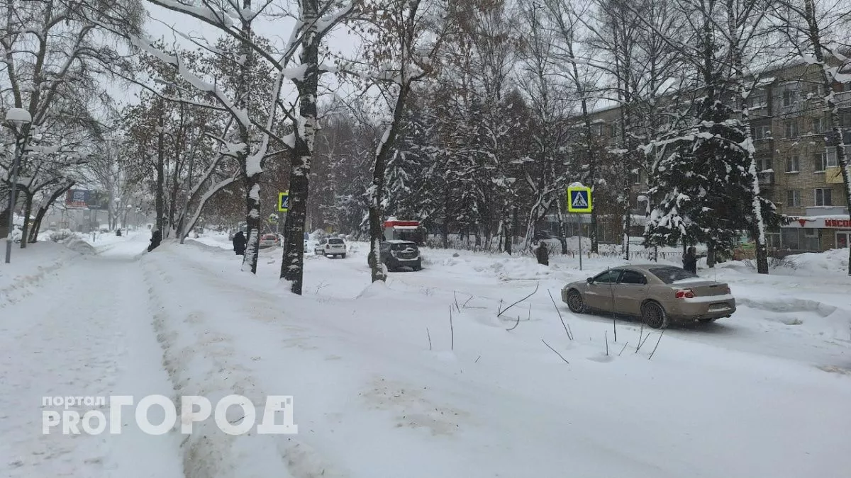 Дилеры выстроились в очередь за новыми автомобилями Volga еще до старта продаж