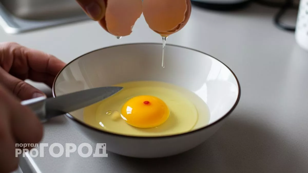 Темное пятно в яйце больше не будет пугать вас после этого простого объяснения
