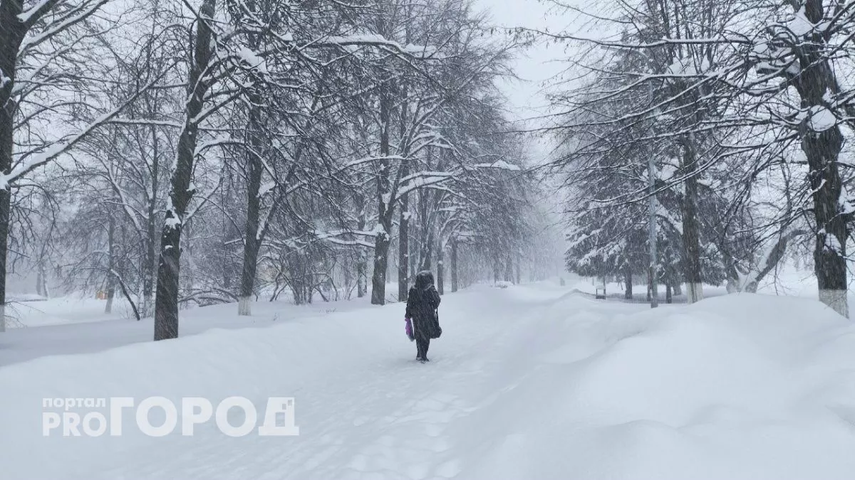 Нижегородская пенсионерка завернула 100 000 рублей в платок и пакет, желая спасти внучку