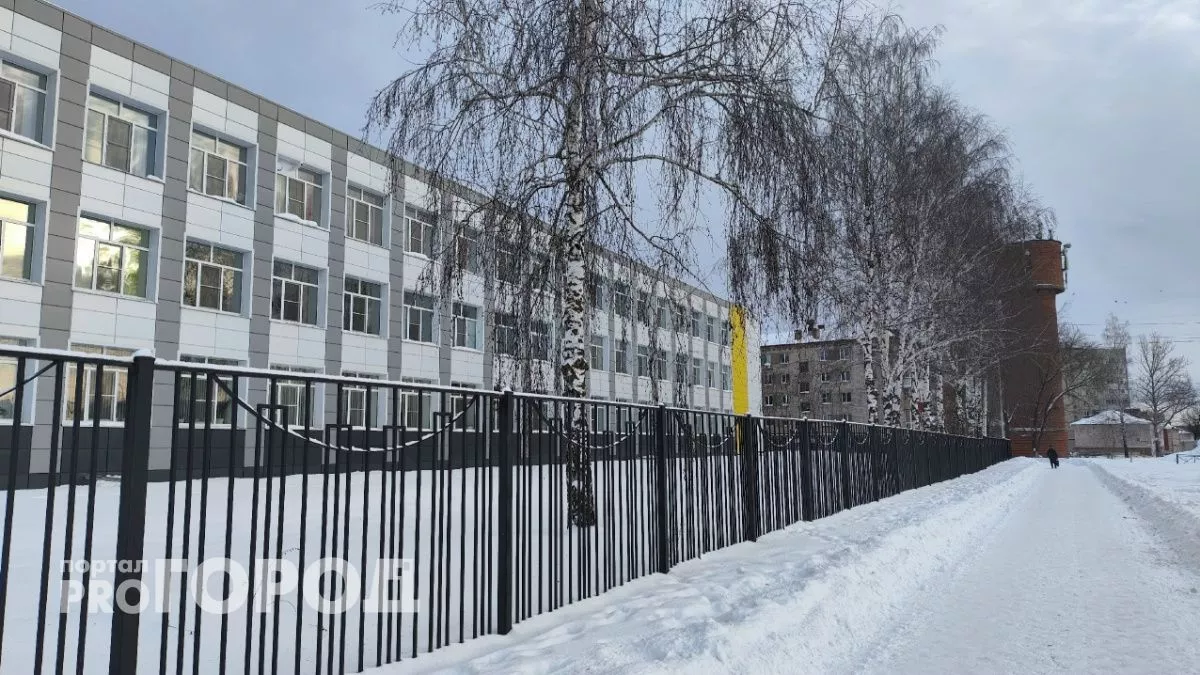 В школе Богородска проводят дезинфекцию после выявления кишечной инфекции