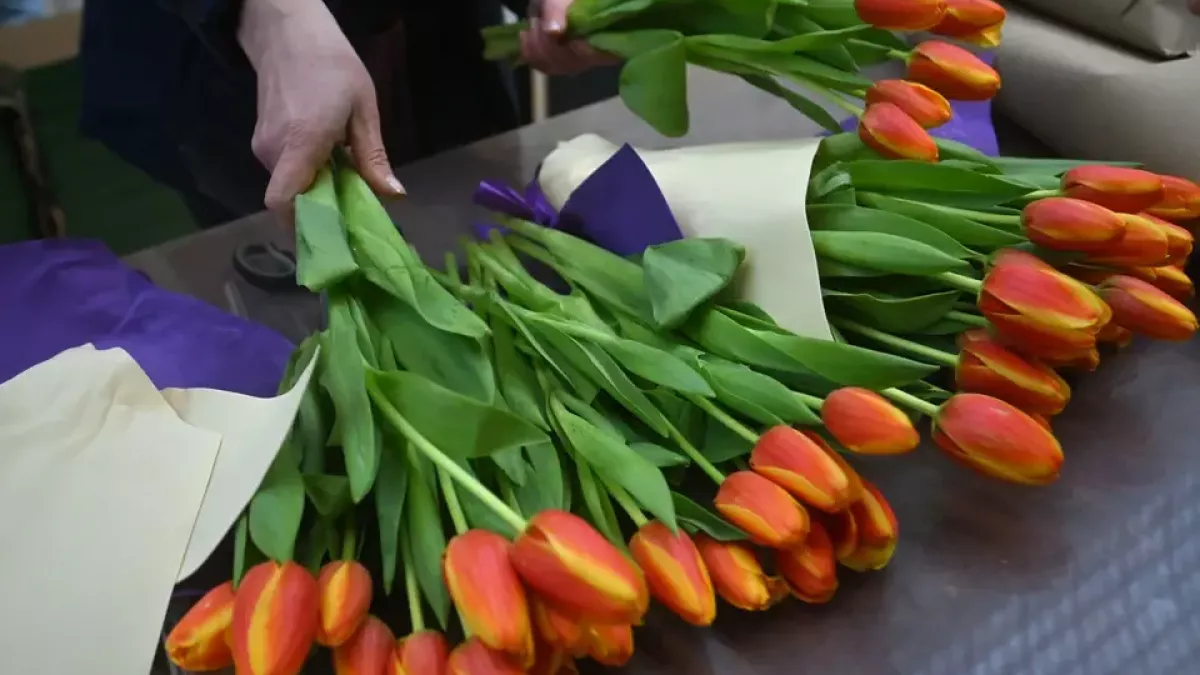 Мальчик горько заплакал, когда ему отказались продать цветы для мамы