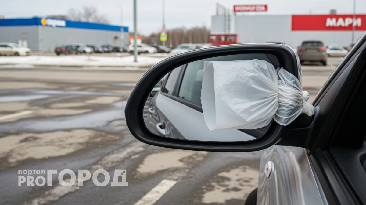 Эксперты ГАИ раскрыли, как мошенники используют обычный пакет для обмана водителей на парковках