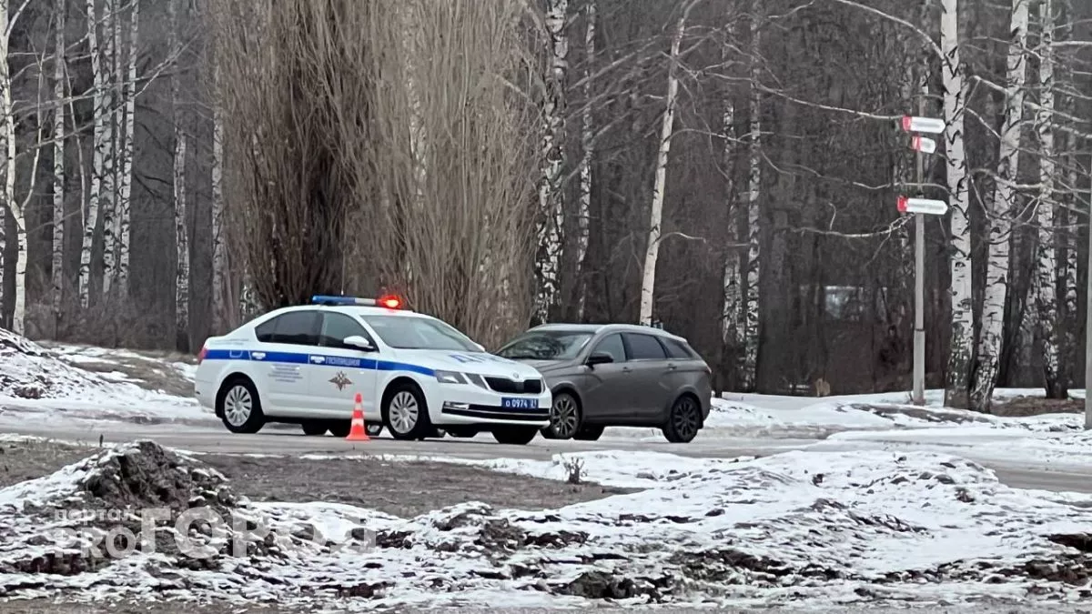 В Пензенской области в ДТП погиб водитель-экспедитор из Нижнего Новгорода 