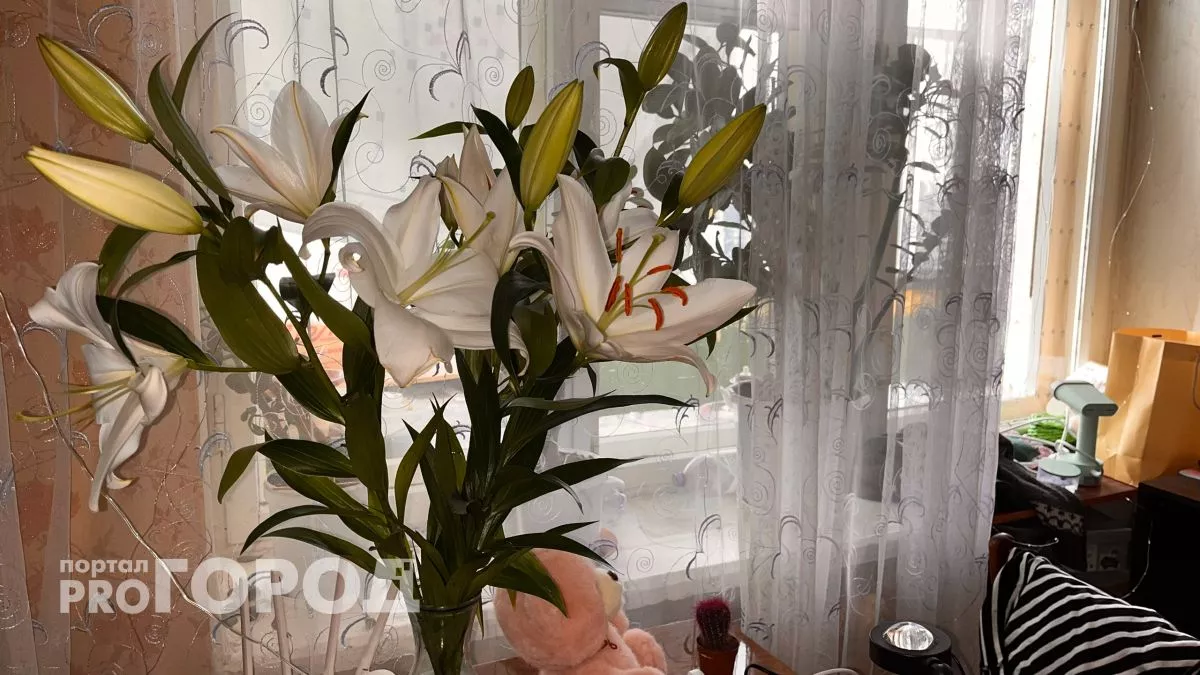 Мальчику не продали цветы для мамы из-за возраста в Нижнем Новгороде