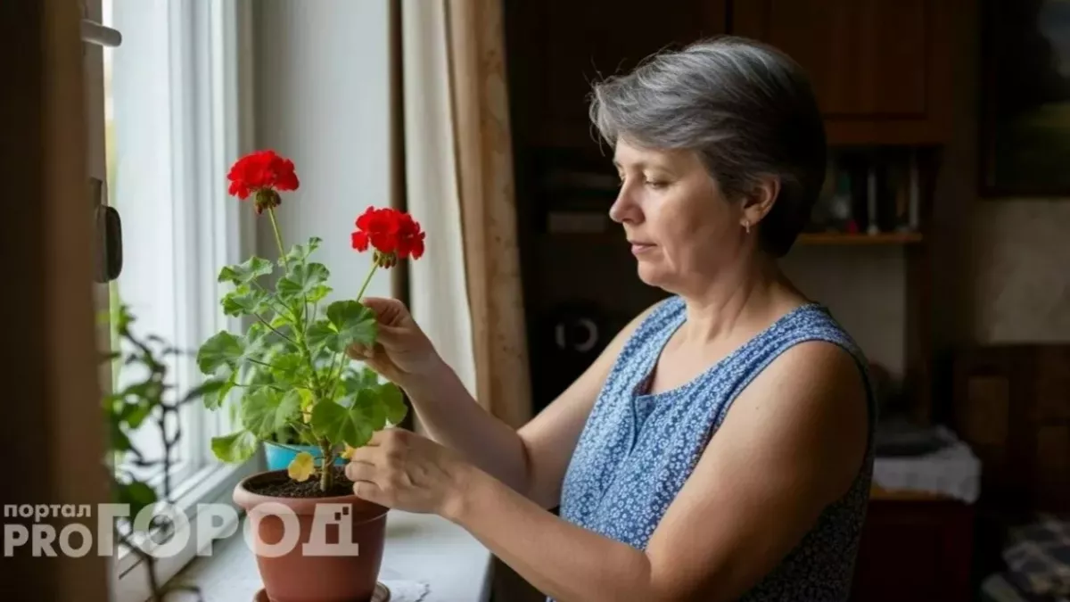 Положите лист герани в карман – эффект просто сногсшибательный: простой лайфхак от бабушек