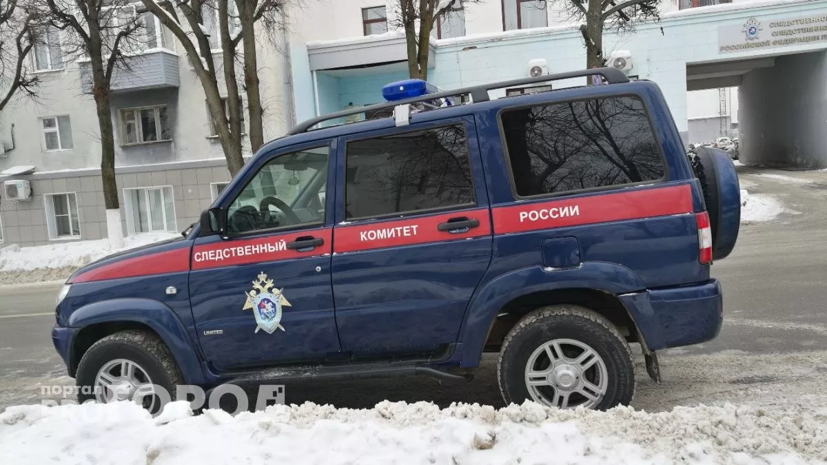 Бастрыкин поручил разобраться в деле о гибели девушки из-за рухнувшей ледяной глыбы