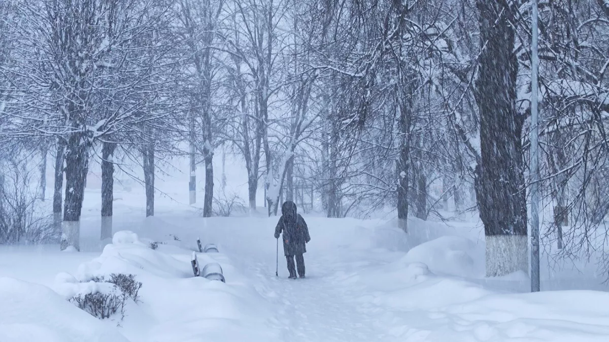 Россия входит в зону климатического безумия: метеоролог предупредила о новых аномалиях, к которым нужно срочно готовиться