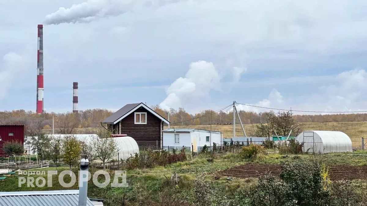 Каким будет лето 2026 после аномально снежной зимы: эксперты ответили, к чему готовиться садоводам