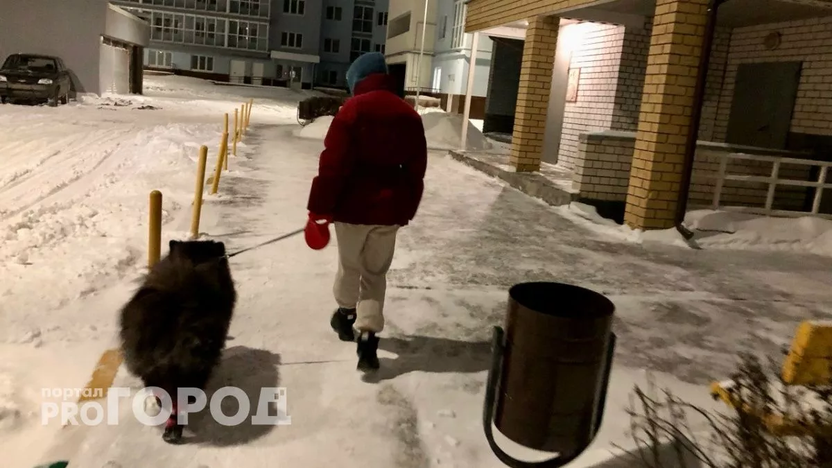 В Нижегородской области владельцев агрессивных собак будут штрафовать до 30 тысяч рублей