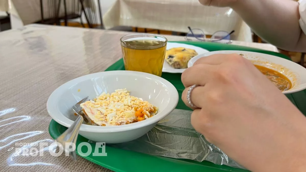 Роспотребнадзор начал проверку в богородской школе, где детей кормили котлетами с плесенью