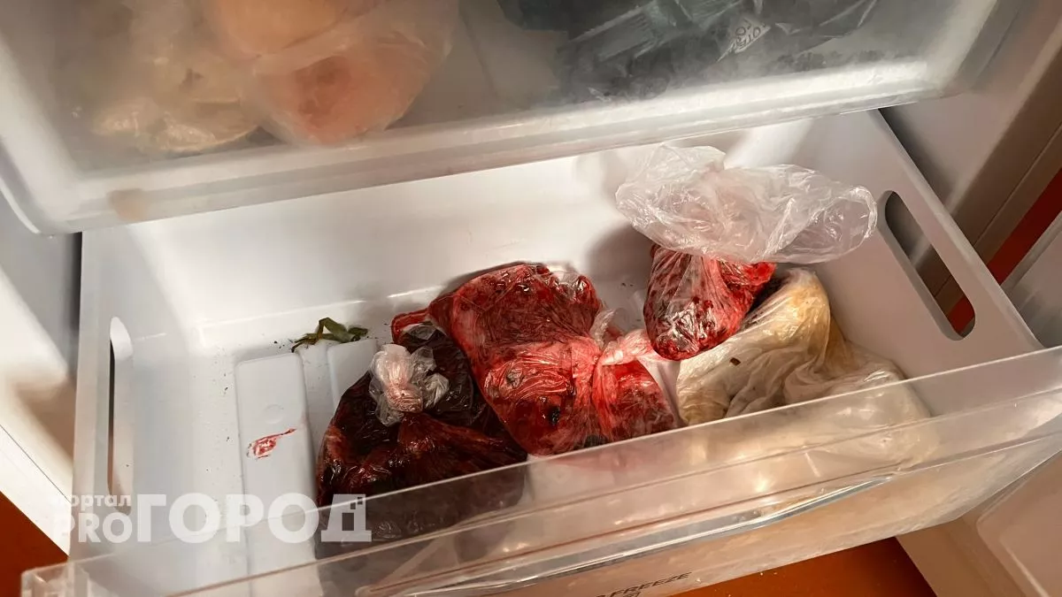 Как правильно хранить еду в холодильнике: 15 правил, о которых вы не догадывались