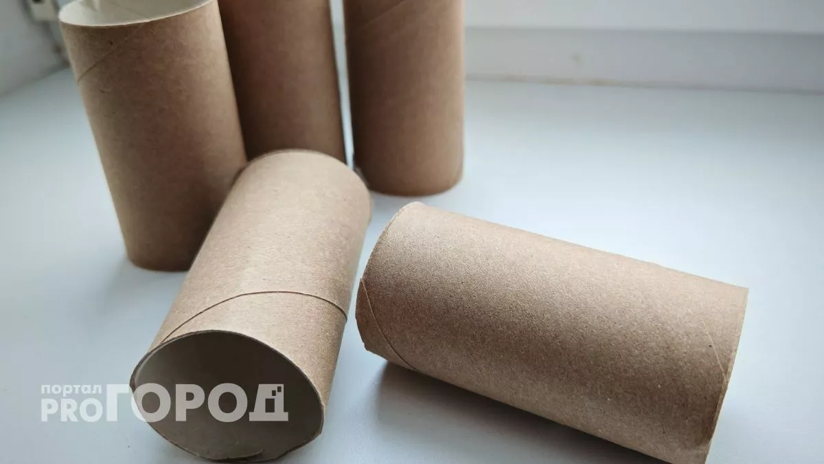 Втулки от туалетной бумаги - спасение для вашей дачи: почему их прошу у соседей и собираю в мешок 