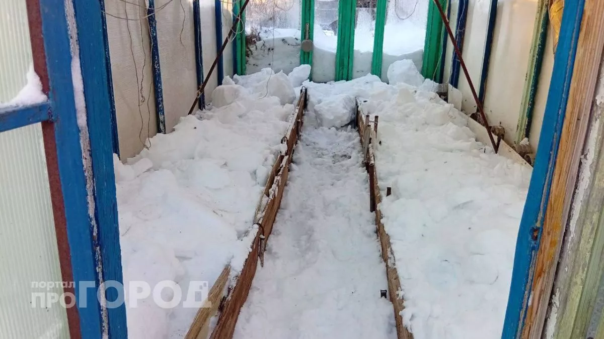 Снег сломал теплицу: дачники рассказали, как спасти конструкцию без единого рубля на мастера