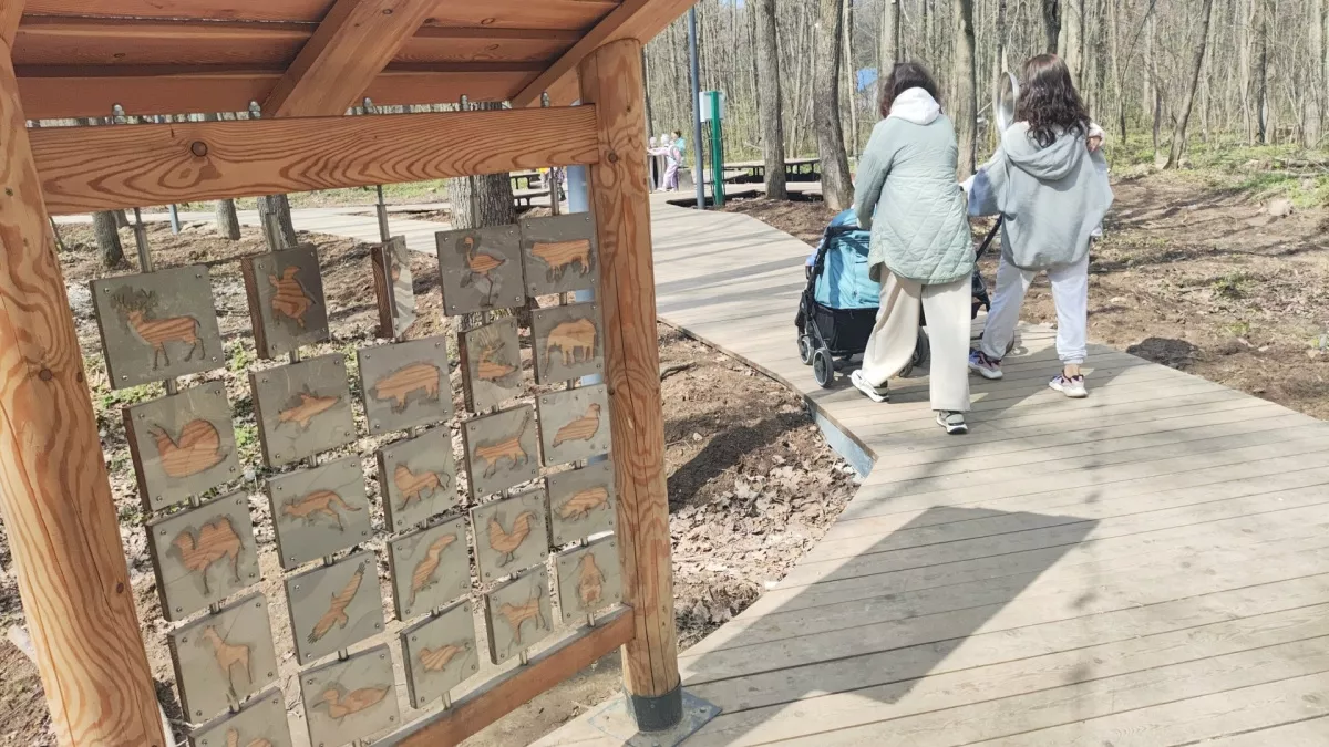 Сон под гул пылесоса: россияне нашли новый способ укладывать детей, который пугает врачей