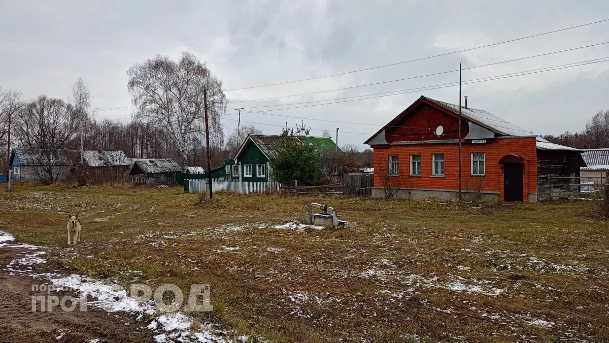 Время квартир уходит: люди из мегаполиса массово переезжают в деревни