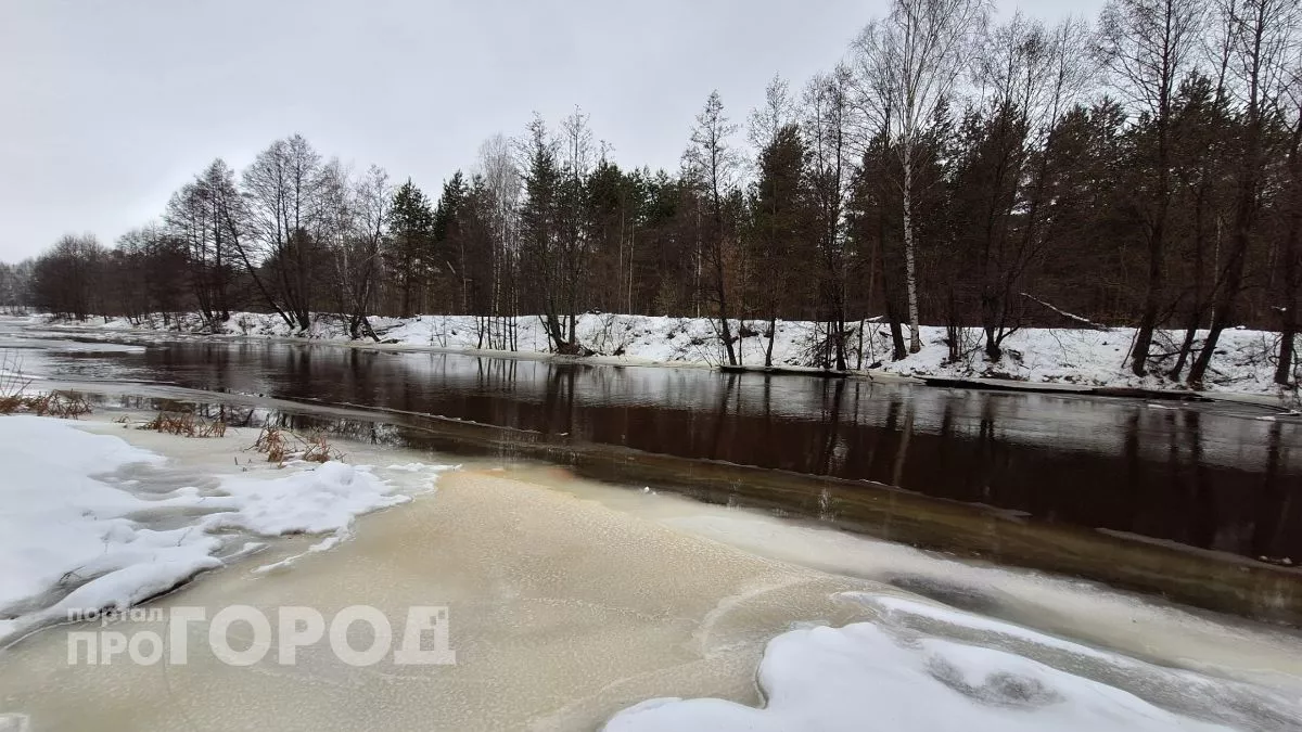 Нижегородцам напомнили об опасности нахождения на льду в водоемах