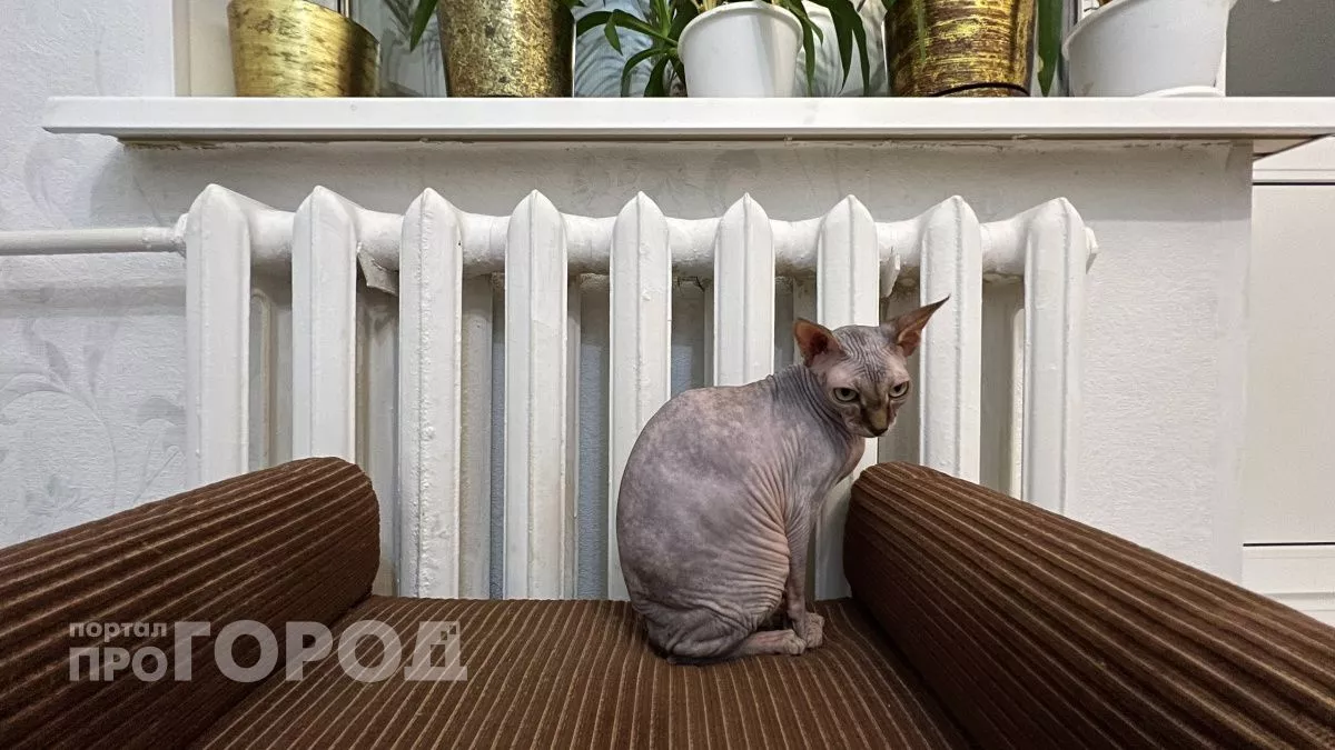 Счастливчики без холодов: назван единственный регион России, где никогда не выключают батареи