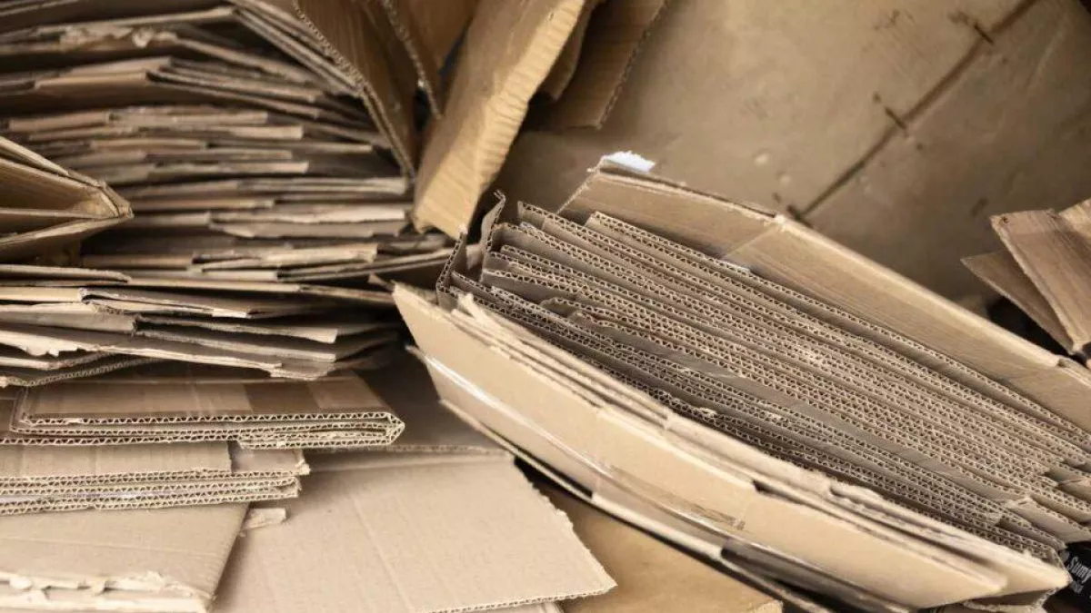 300 кг макулатуры за 600 рублей: в Нижегородской области стартует необычный марафон