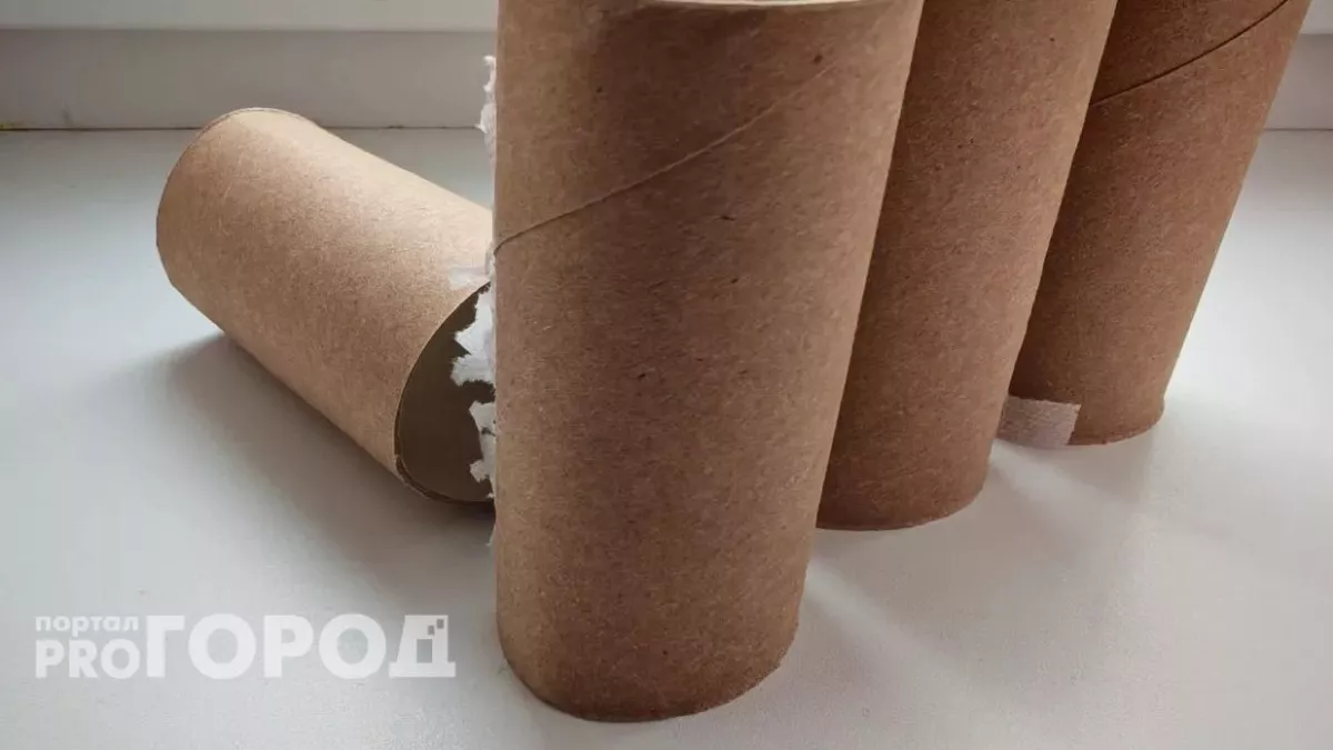 Втулки от туалетной бумаги берегу как зеницу ока: вот как их применяю – незаменимая вещь для решения многих проблем