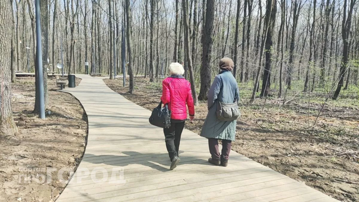 Пенсионерка из Арзамаса осталась без миллиона рублей, решив заработать на бирже