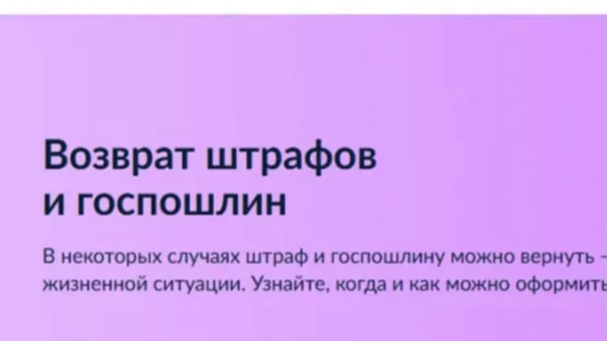 Нижегородцы смогут вернуть ошибочные штрафы за 30 дней через Госуслуги