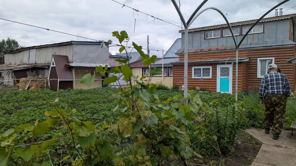 Какие постройки освобождены от налога в 2026-м — полная инструкция для дачника