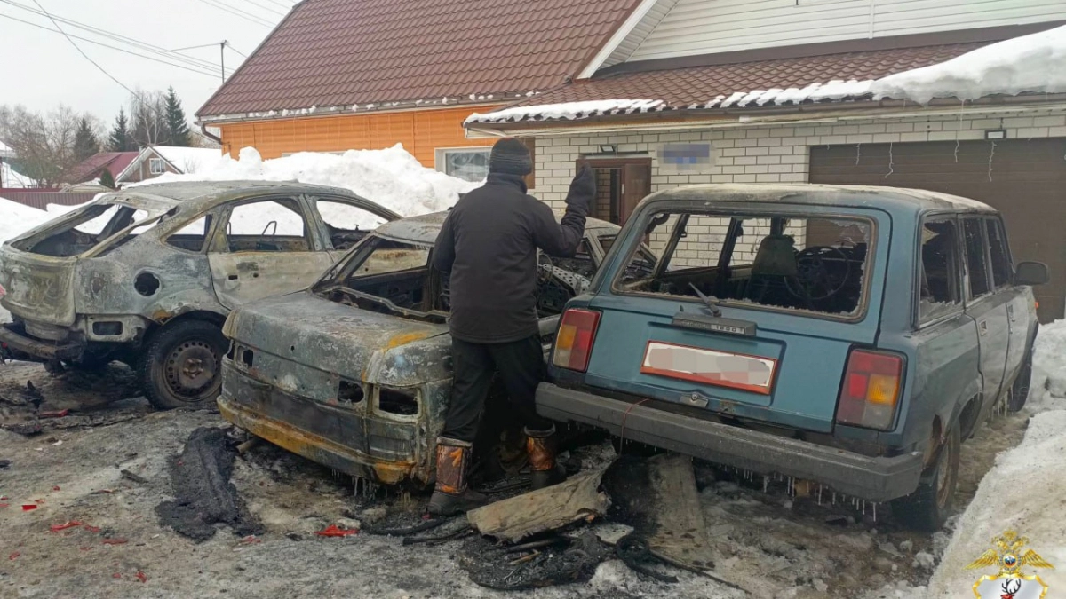В Богородске задержали 43-летнего поджигателя: мужчина сжег три автомобиля одной семьи из мести за падчерицу