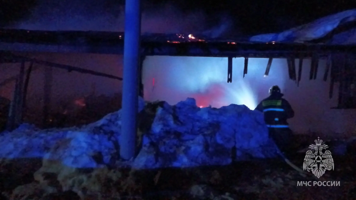 В Краснобаковском районе около деревни произошел пожар на предприятии по обработке древесины