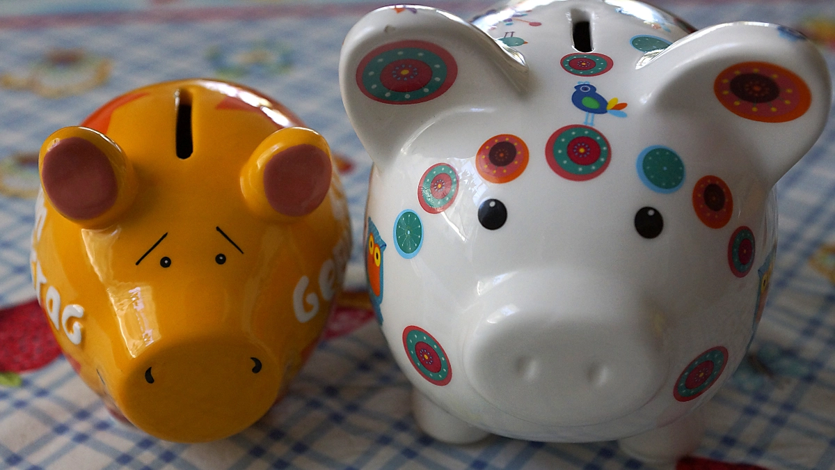 Жительница Канавинского района осталась с пустой копилкой и разбитым телевизором из-за рецидивиста из Иркутска