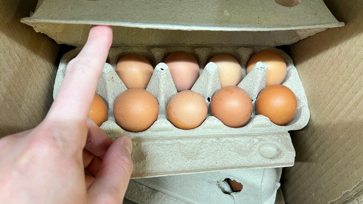 Картонки из-под яиц больше не выкидываю: теперь они незаменимые помощники по хозяйству