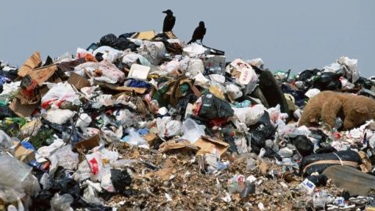 В нижегородском СНТ «Родник» выкупили 14 участков из зоны экологического бедствия