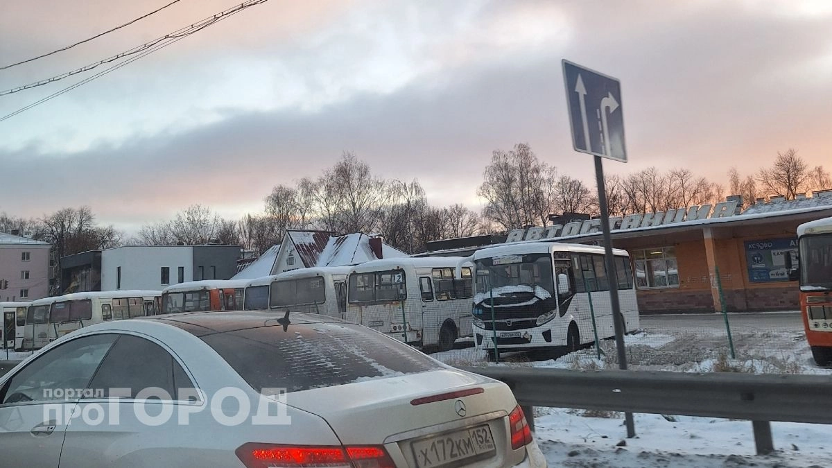 Жители Нижегородской области за год начали активнее путешествовать по родному региону