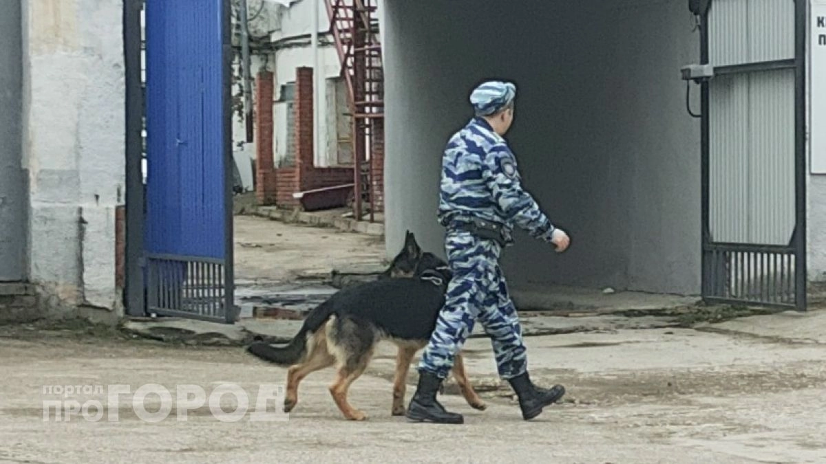 Бывший росгвардеец из Дзержинска вписывал в систему фантомное уничтожение оружия