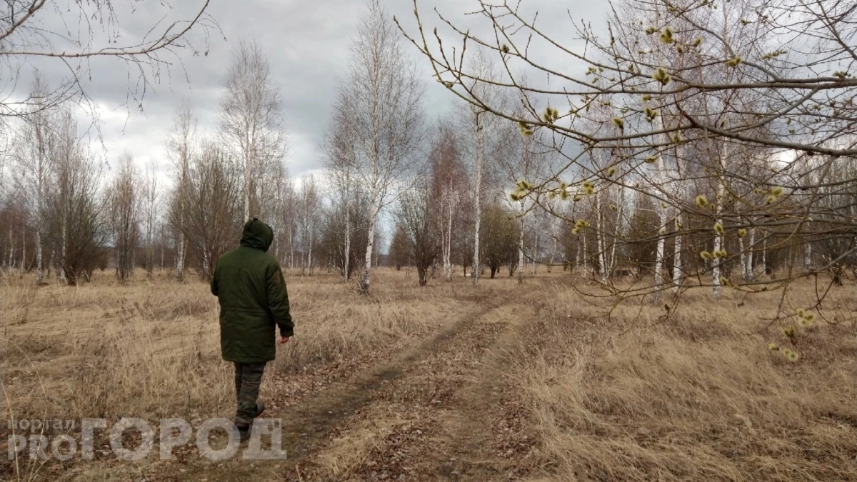 В Нижегородской области проснулись клещи и начали кусать людей