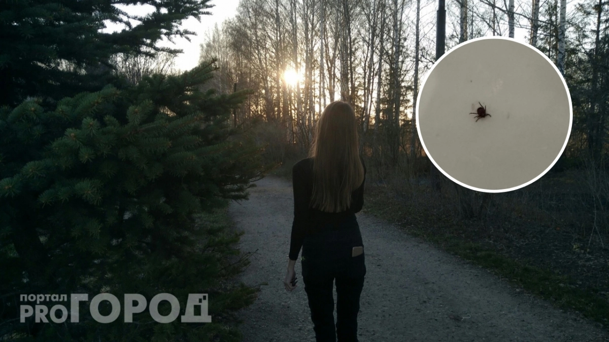 Клещи мрут только так: это копеечное средство защищает лучше магазинных аэрозолей