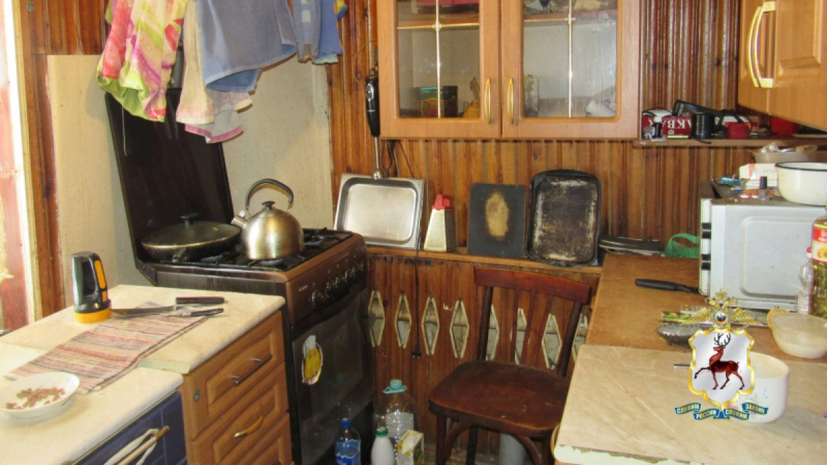 В Лысково мужчина попал под следствие за то, что залез в чужой кухонный шкаф