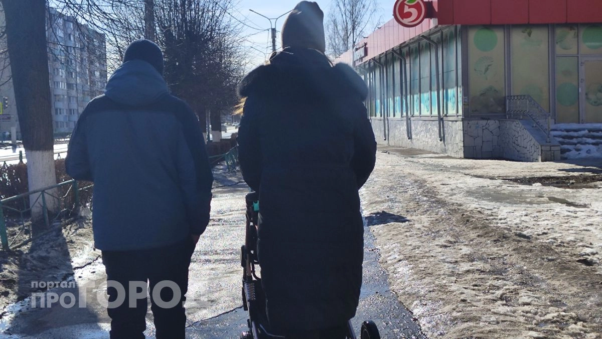 Молодая мама из Павловского района обманула государство на полмиллиона и игнорировала приставов