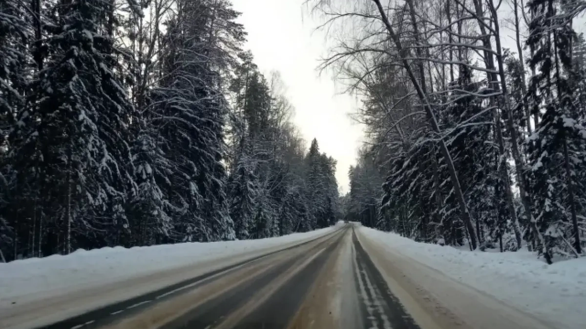 ДТП на трассах Нижегородской области сократились на 22%