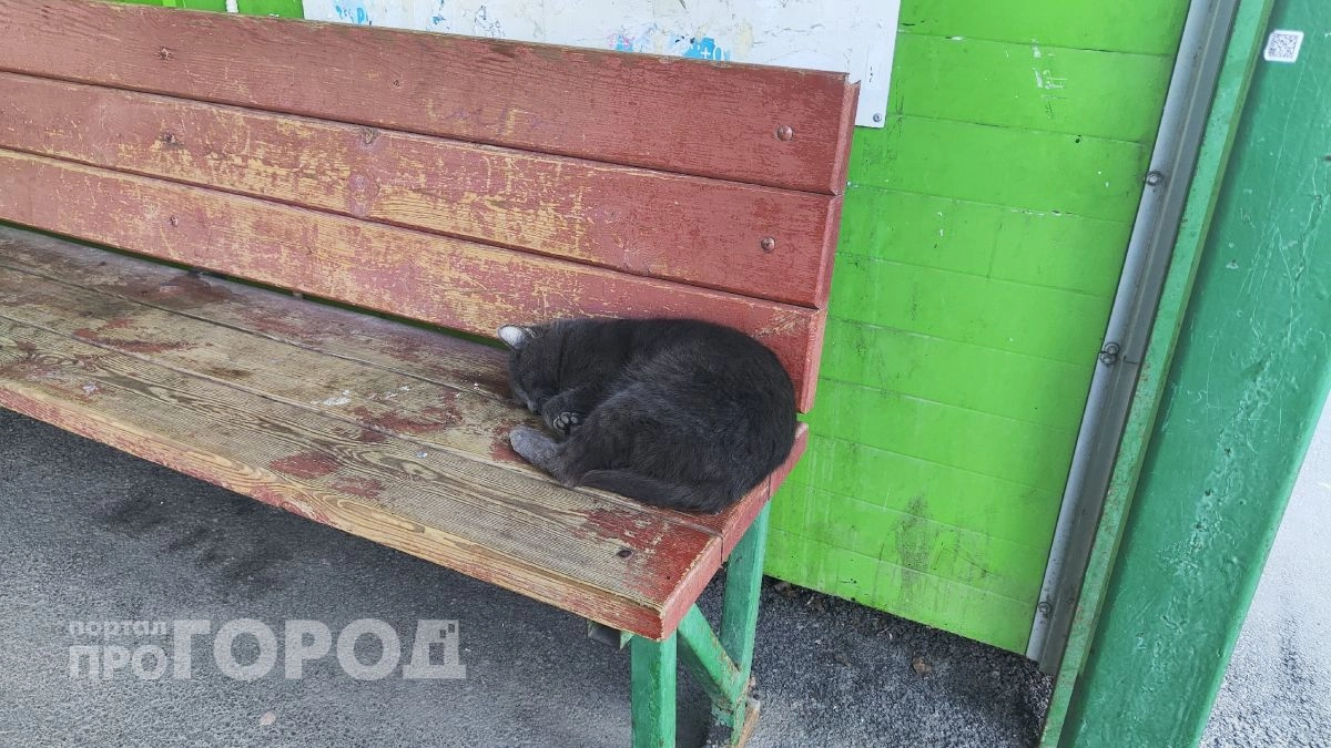 Впервые за 5 лет: аномальный апрель ждет всех без исключения 