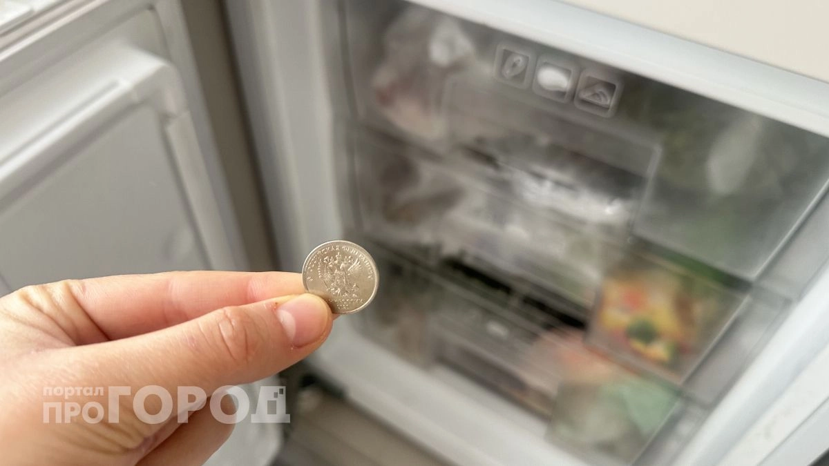 Зачем класть монетку в морозилку: хитрость, которая спасет ваш холодильник и продукты 