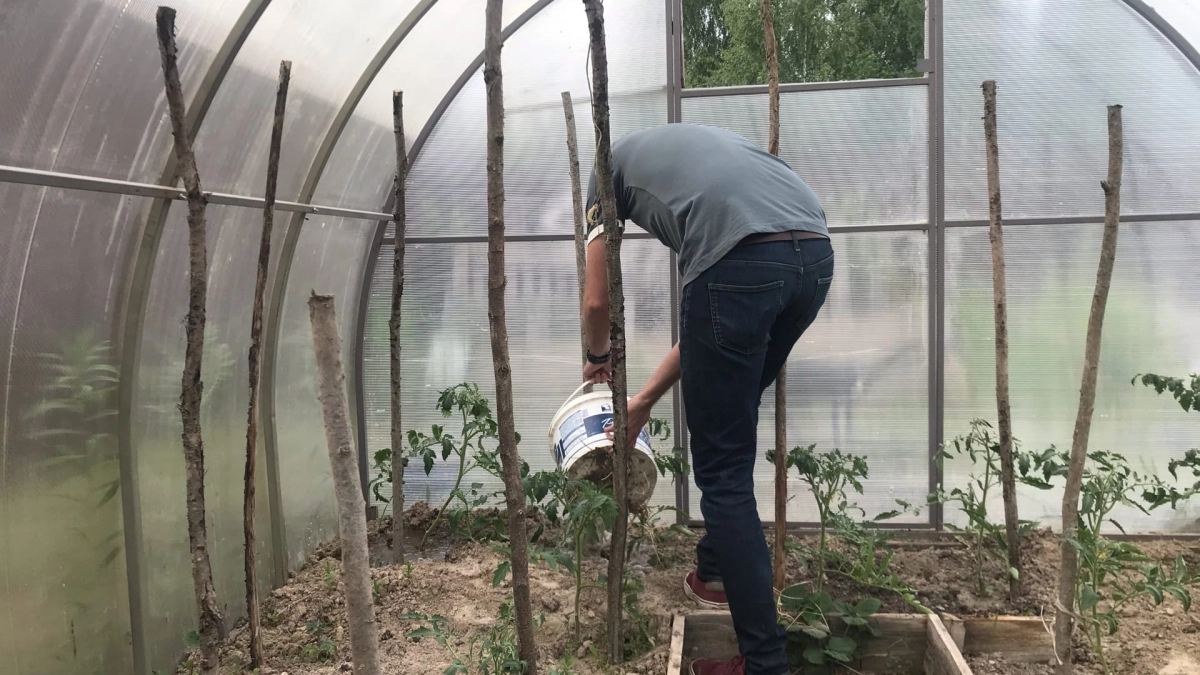 "Выписываем штраф за выгребную яму": чиновник пришел с папочками и чуть не оштрафовал, но я задал один вопрос и все изменилось