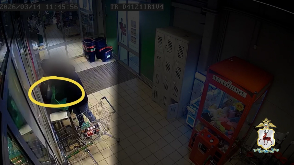 В Нижнем Новгороде одна пенсионерка обокрала другую, пока они разбирали покупки в магазине