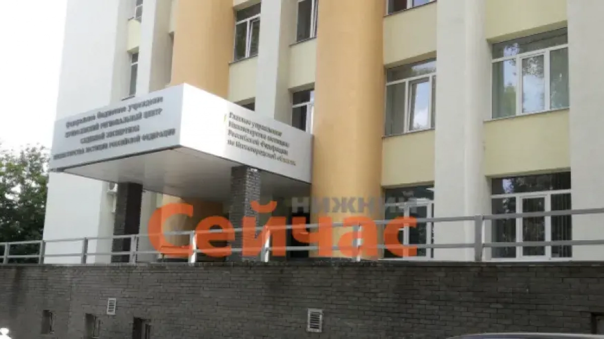 Минюст откроет горячую линию для НКО Нижегородской области 26 марта