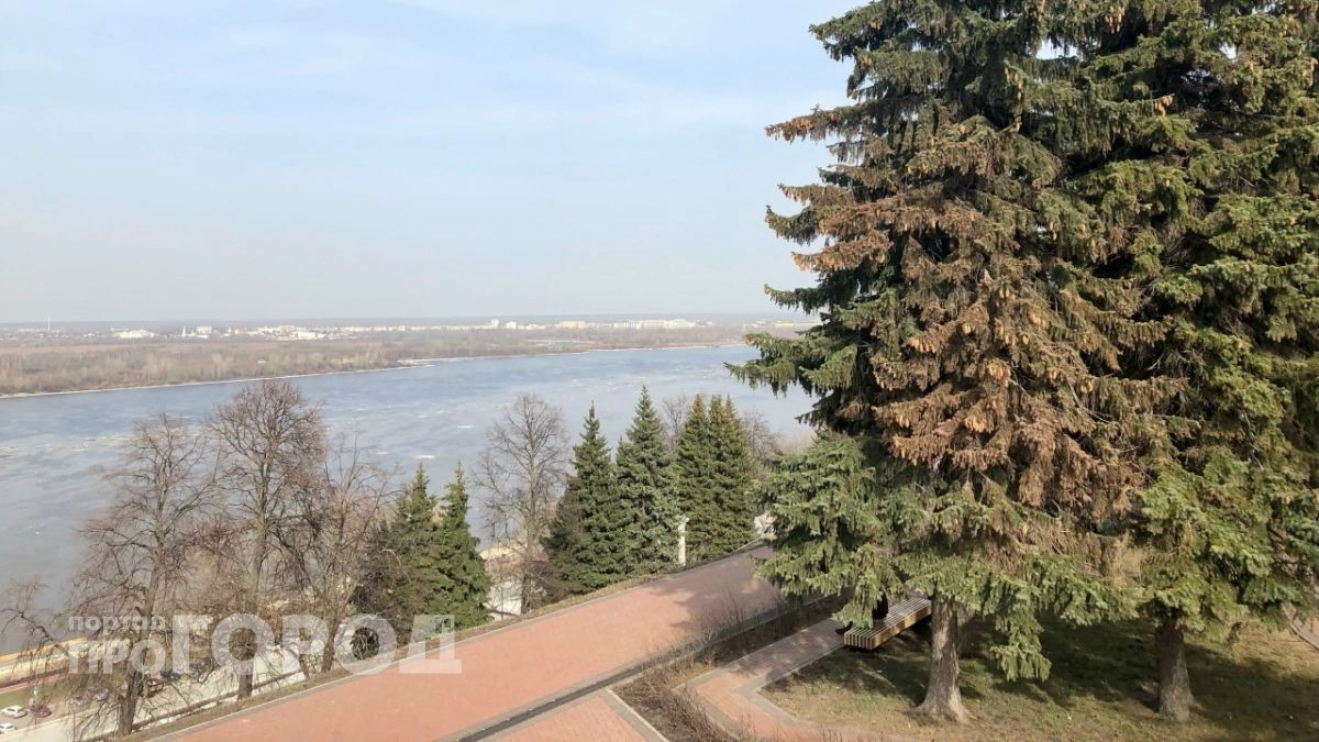 Солнечный весенний день ждет нижегородцев в середине рабочей недели