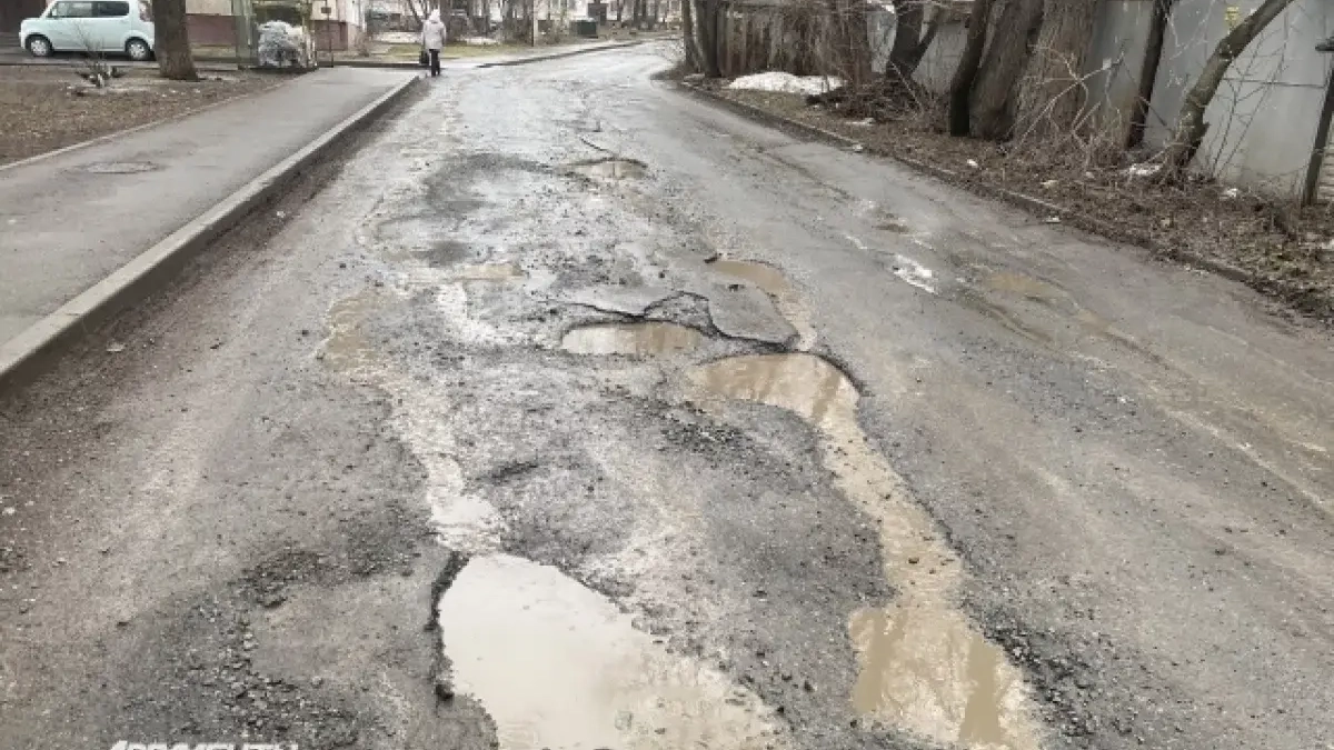 Бастрыкин поручил возбудить дело из-за разбитой дороги в Нижегородской области