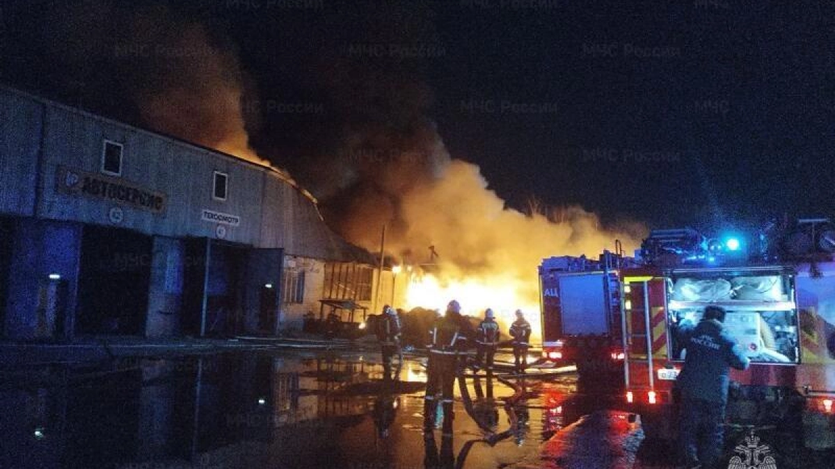 Пожар на складе, дело о медобеспечении ребенка и мошенничество на 4 миллиона: главные новости за 24 марта