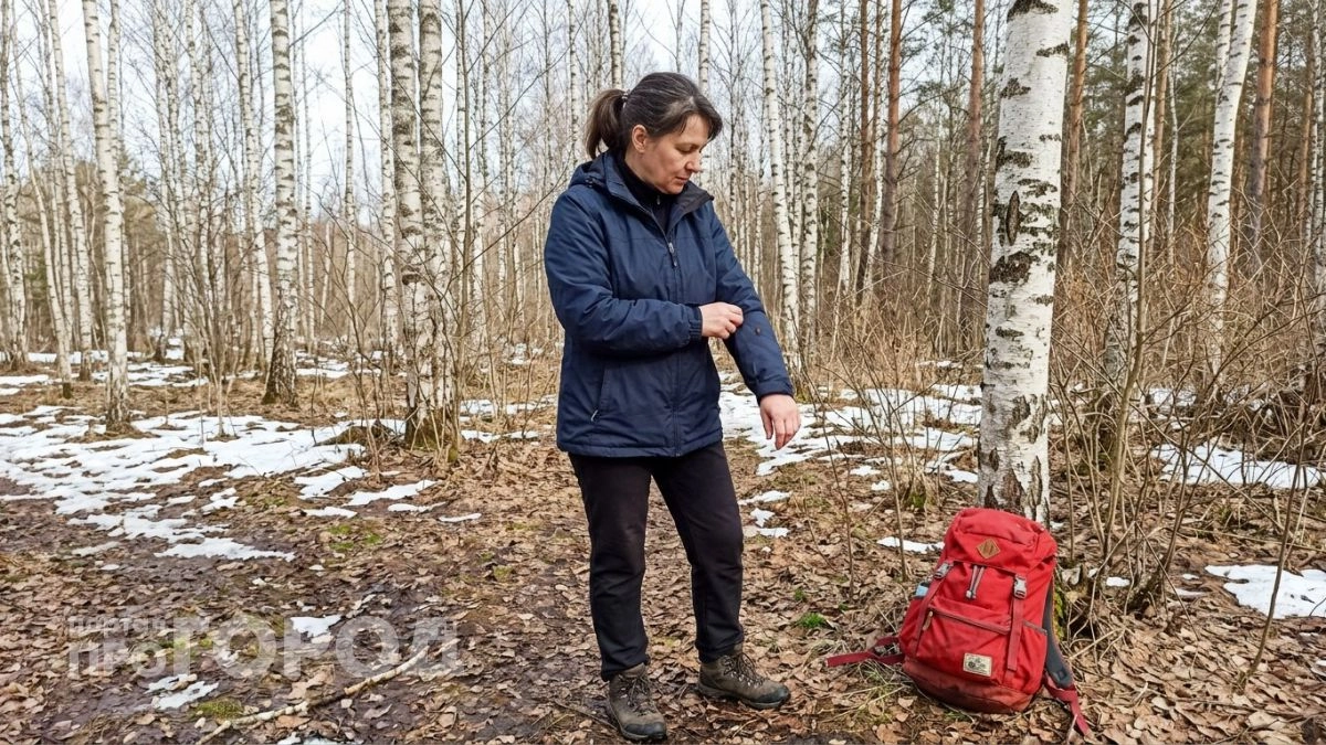 2 пшика – и клещи улепетывают со скоростью света: обычные репелленты – прошлый век